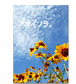 ^e250~R176mmC[W
