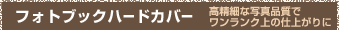 tHgubNn[hJo[